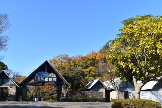 金沢自然公園（紅葉編）